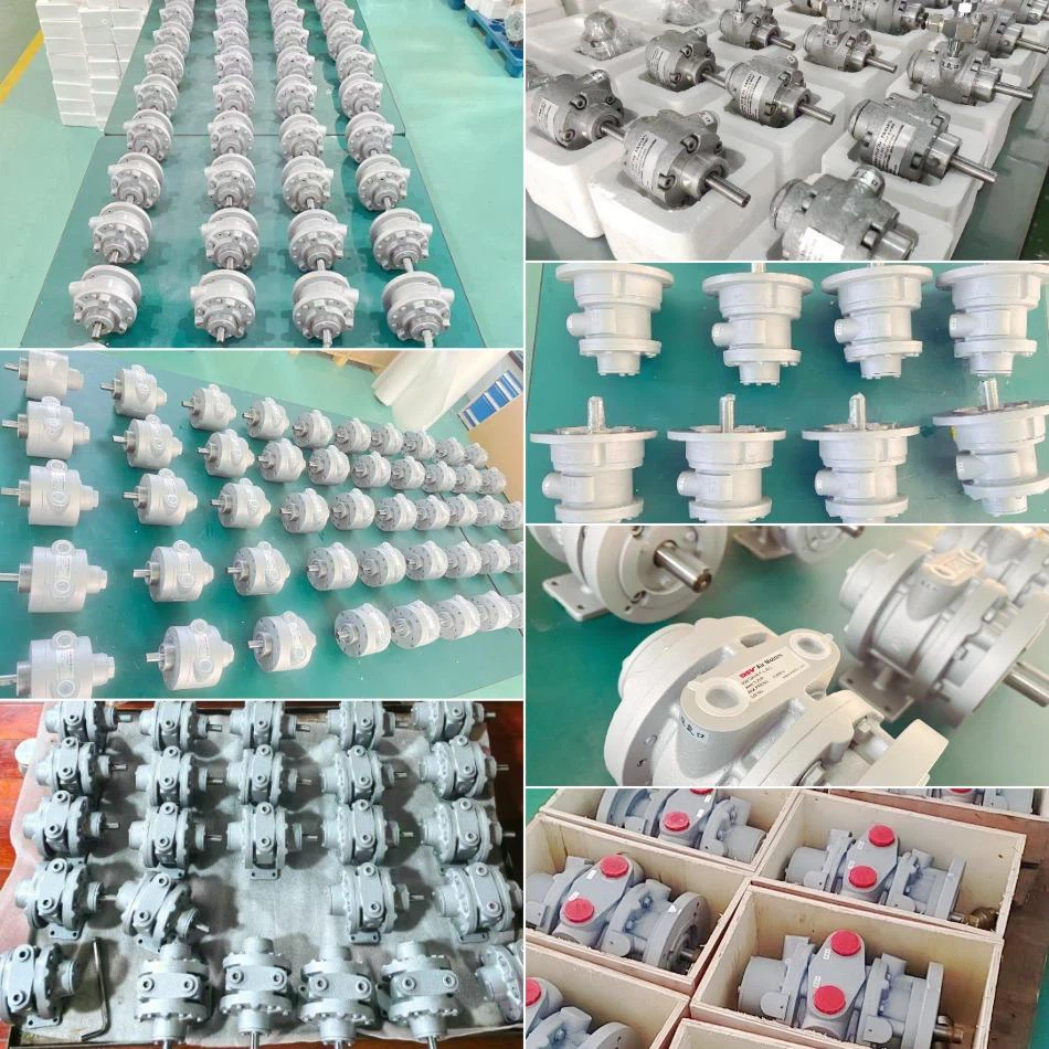 rotary air motor rotary air motor